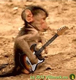 Ape som spiller gitar