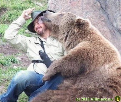 Bjørn med venn