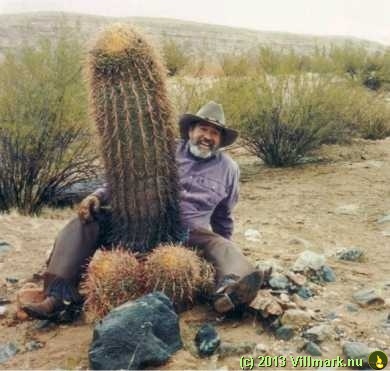 Cactus erectus