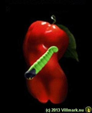 Naken hunn-pepper